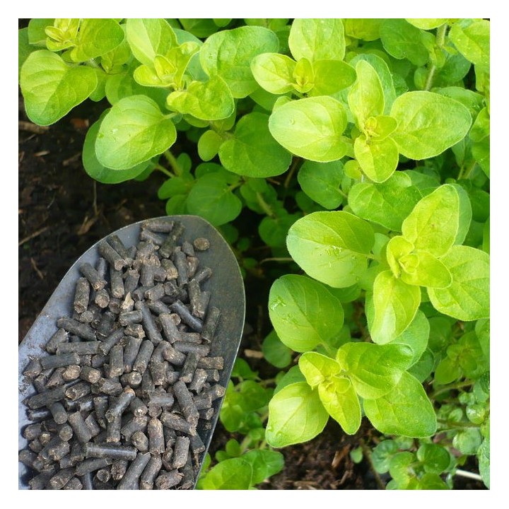 Obornik granulowany koński  - wiaderko 5l