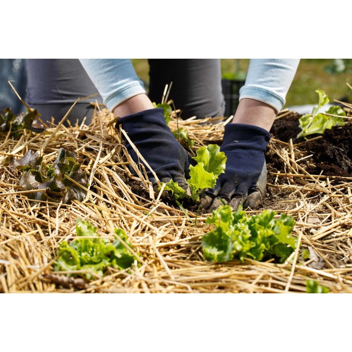 sloma-do-szklarni-naturalna-sciolka-warzywa