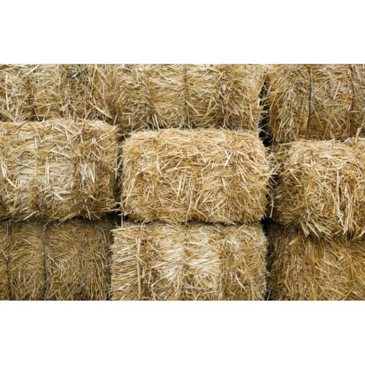 słoma-kostka-dla-psa