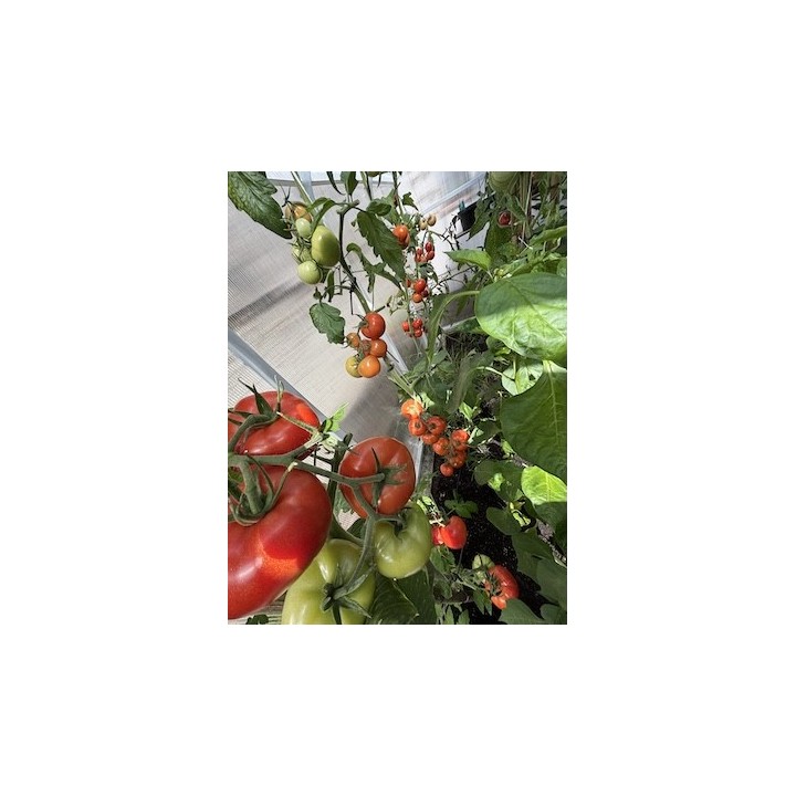 efekty_stosowania_obornika