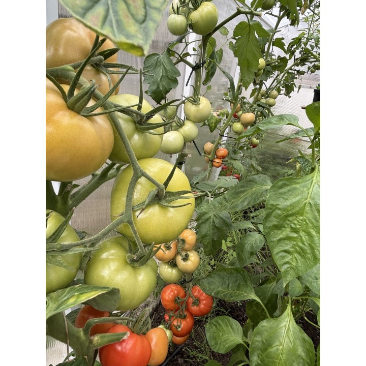 efekty_stosowania_obornika