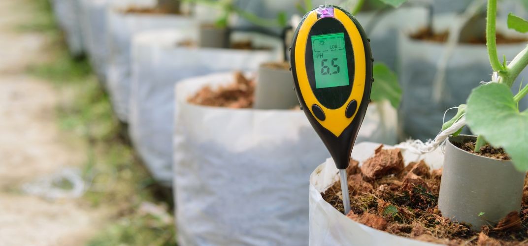 Jak mierzyć kwasowość torfu? Praktyczny przewodnik