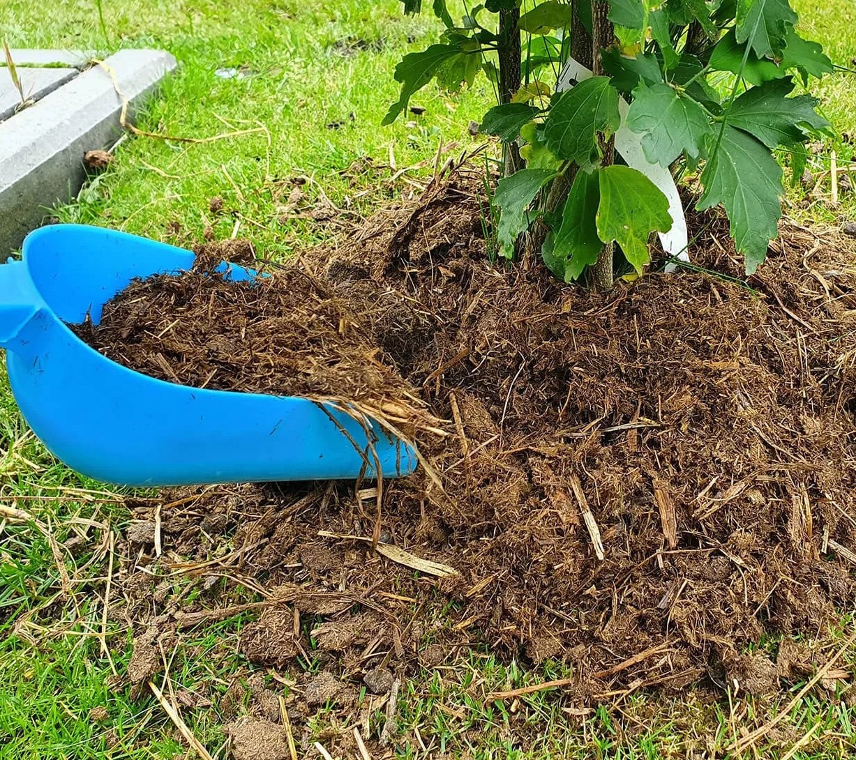 Obornik koński jak stosować