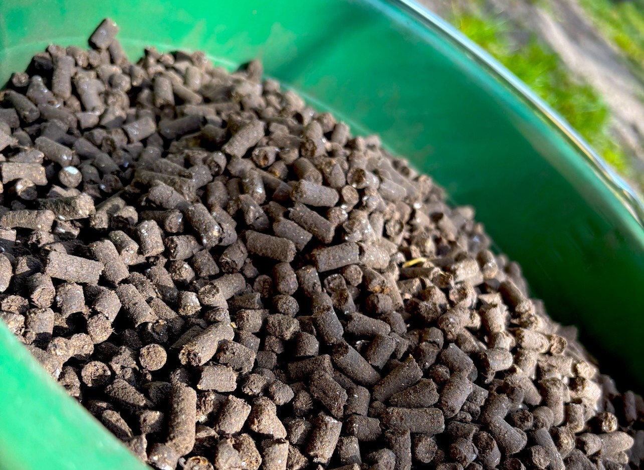 Obornik koński granulowany, dlaczego warto?