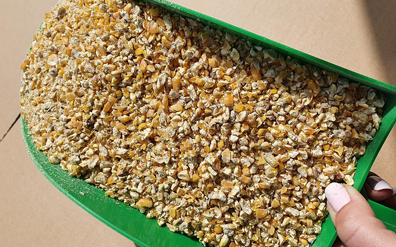 Zastosowanie śruty kukurydzianej