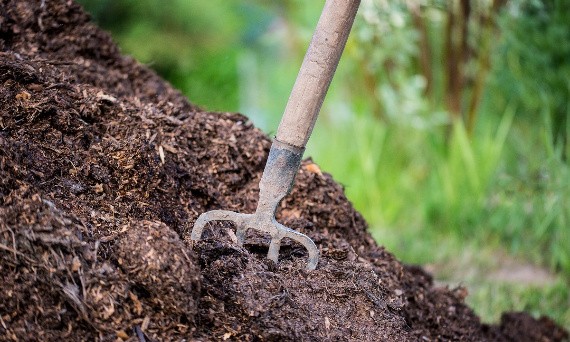 Kiedy najlepiej  stosować obornik koński w ogrodzie?
